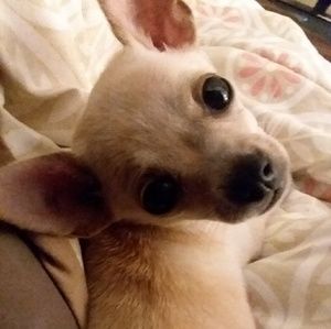 Meet your Posher, Judith